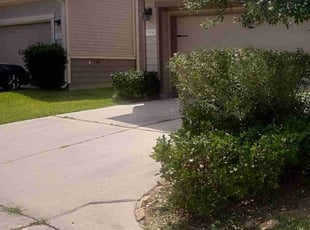 Bush Trimming by Jamell Mcgee for Shon T. in Houston, TX