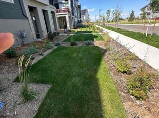 Keith S.'s Lawn Care service result