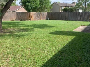 Alex T.'s Lawn Service service result