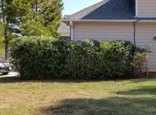Bush Trimming by Kurtis Waters for JoAnn C. in Indian Trail, NC