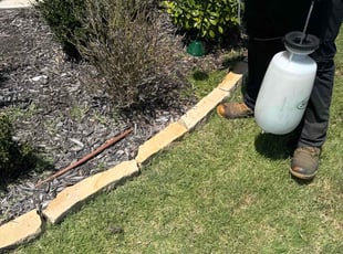 Rich G.'s Flower Bed Weeding service result