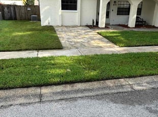 Carla G.'s Lawn Care service result