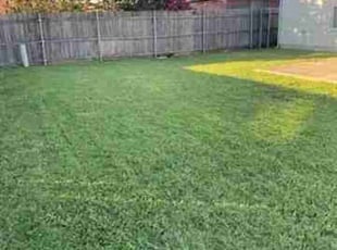 Andrea H.'s Grass Cutting service result