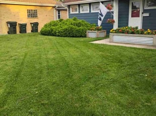 Frank M.'s Lawn Care service result