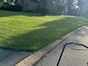 Shuran W.'s Lawn Mowing service result