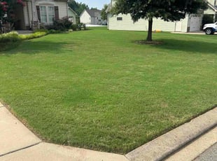 Ollie B.'s Yard Cutting service result