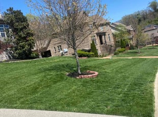 Brandon H.'s Lawn Care service result