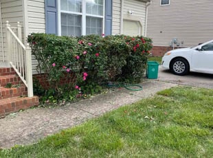 Bush Trimming by Arthur Haskins for Joshua A. in Richmond, VA