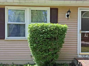 Bush Trimming by Judith Allen for Jan T. in Columbus, OH