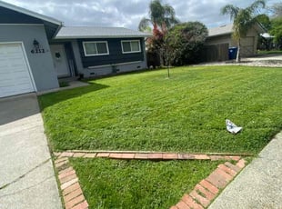 Lisa S.'s Lawn Mowing Service service result