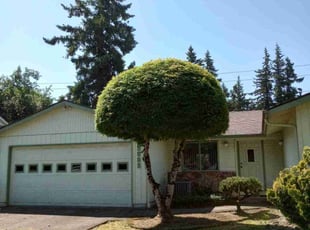 Bush Trimming by Robert Marsico for Deirdre C. in Portland, OR