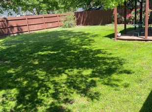 Mark K.'s Lawn Mowing service result