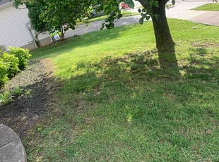 Weeding by Melvin Pryor for Maddie M. in Nashville, TN