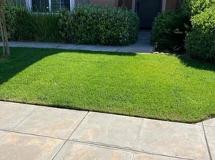 Shawnette I.'s Lawn Service service result