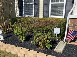 Bush Trimming by Caleb Beckstein for Jamie D. in Indian Land, SC
