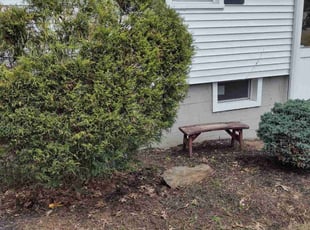 Bush Trimming by Matthew Spinelli for Celina J. in Stratford, CT