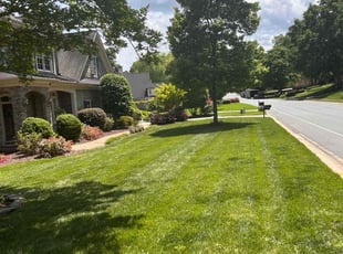 Mandy P.'s Lawn Maintenance service result