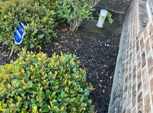 Weeding by Nancy Rodriguez for Whitney T. in Alvin, TX