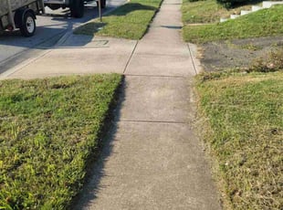 Charlie W.'s Yard Cutting service result