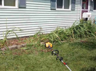 Weeding by Debbie Carper for Teresa R. in Virginia Beach, VA