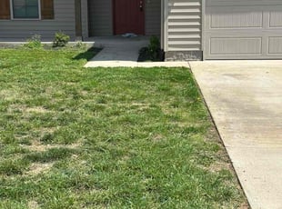 David W.'s Lawn Care service result