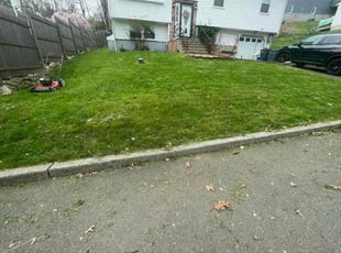 Jiahui J.'s Yard Cutting service result