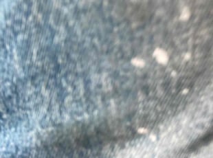 Amy K.'s Bush Trimming service result
