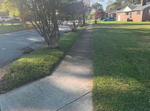 Janelle H.'s Lawn Service service result
