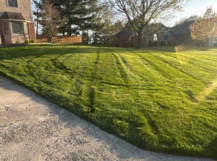 Britni K.'s Lawn Care service result