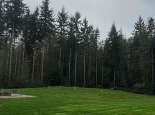 Kin L.'s Lawn Service service result