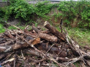Cleanups by Demetre Baker for Tanya K. in Orange Park, FL