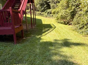 Emma D.'s Lawn Mowing service result