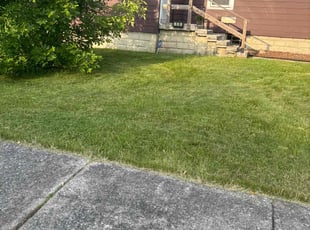 Mel M.'s Lawn Mowing service result