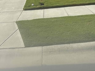 Mary F.'s Lawn Mowing service result