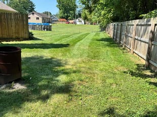 Amber B.'s Lawn Service service result