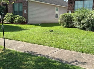 Cindy L.'s Lawn Mowing Service service result