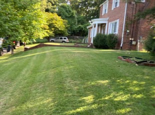 Josephine H.'s Lawn Mowing service result