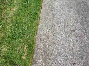 Melissa M.'s Lawn Mowing Service service result
