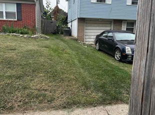 Sandra T.'s Lawn Service service result