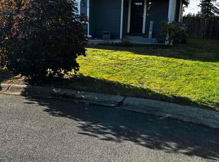 Leaf Removal by Tyna Burton for Kassandra l. in Spanaway, WA