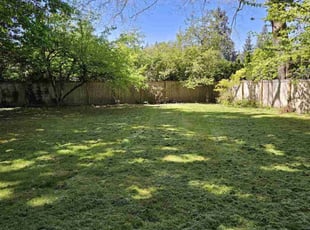 Darien H.'s Lawn Care service result
