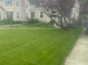 Adam C.'s Lawn Mowing service result
