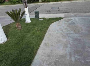 Rolla P.'s Lawn Care service result