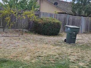 Bush Trimming by Juan Rodriguez for Jan M. in Rocklin, CA