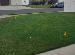 Kimberly K.'s Lawn Maintenance service result