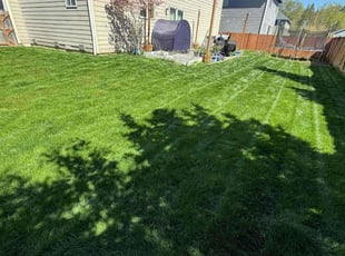 Tonya E.'s Lawn Care service result