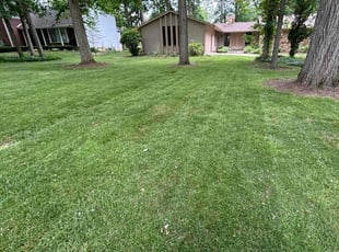 Isaac L.'s Lawn Mowing service result