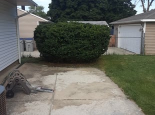 Bush Trimming by Orlando Perea for Jordon K. in Milwaukee, WI