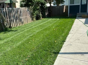 Marianne S.'s Lawn Mowing service result