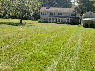 Robert S.'s Yard Cutting service result